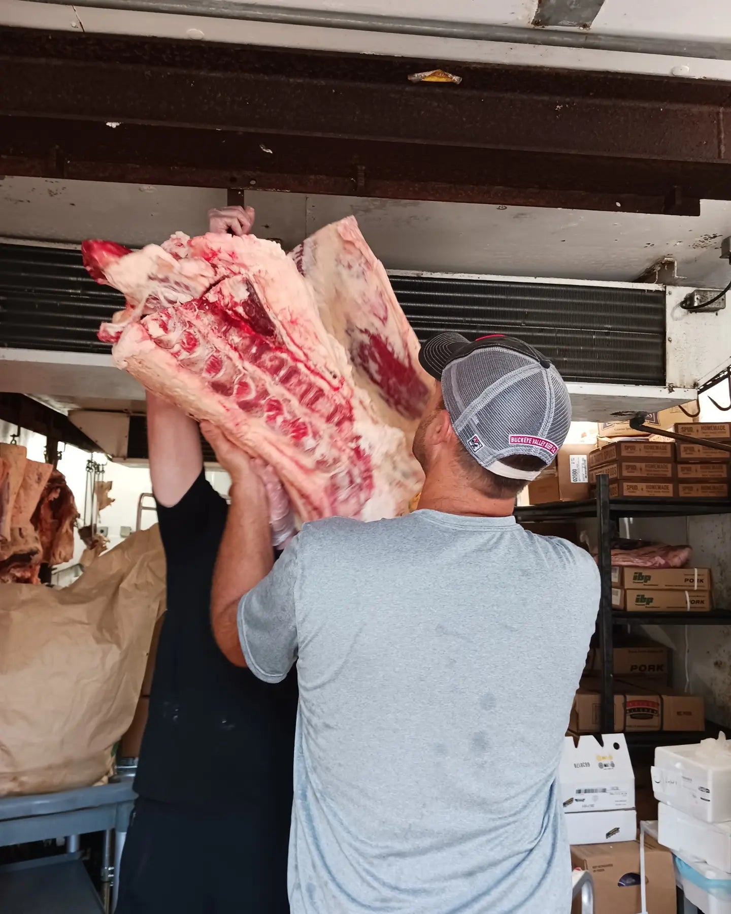 Bulk Beef Shares